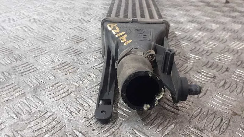Intercooler para Fiat Punto (Evo) (199)