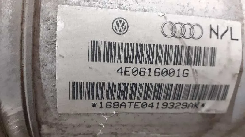 Amortiguador Trasero Izquierdo para Audi A8 (4E2)