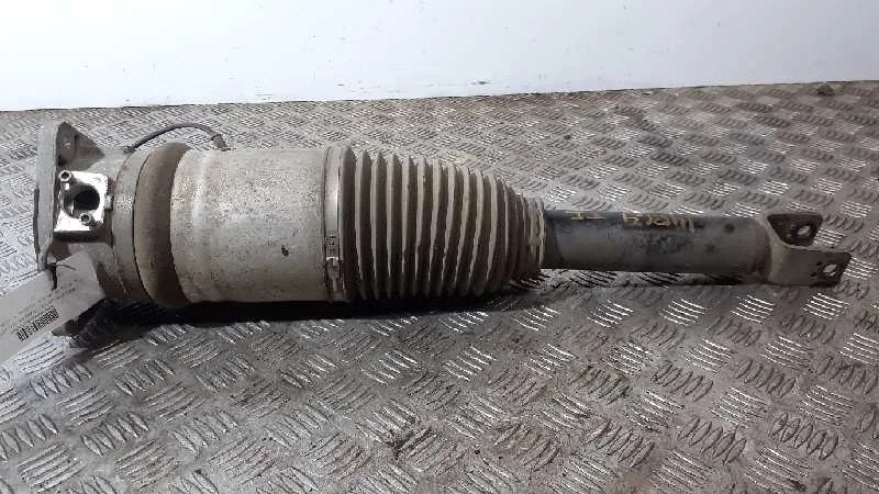 Amortiguador Trasero Izquierdo para Audi A8 (4E2)