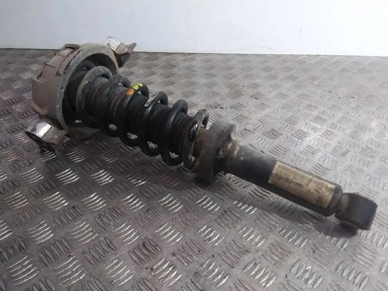 Amortiguador Trasero Izquierdo para Audi Q7 (4L)