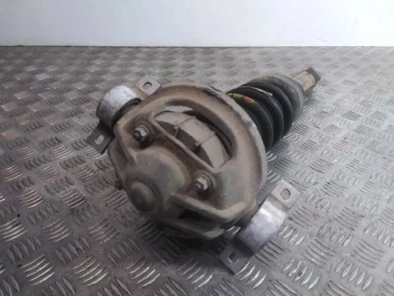 Amortiguador Trasero Izquierdo para Audi Q7 (4L)