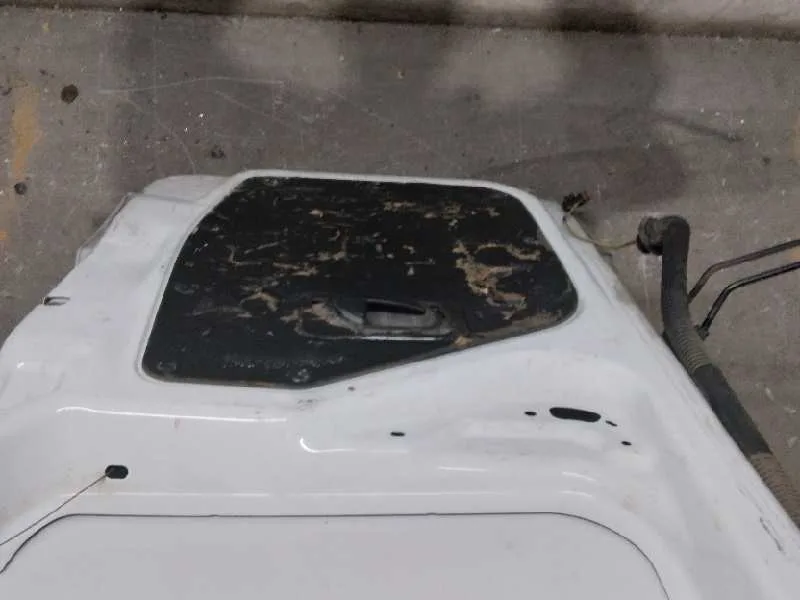Puerta Trasera Derecha para Peugeot Expert Kasten