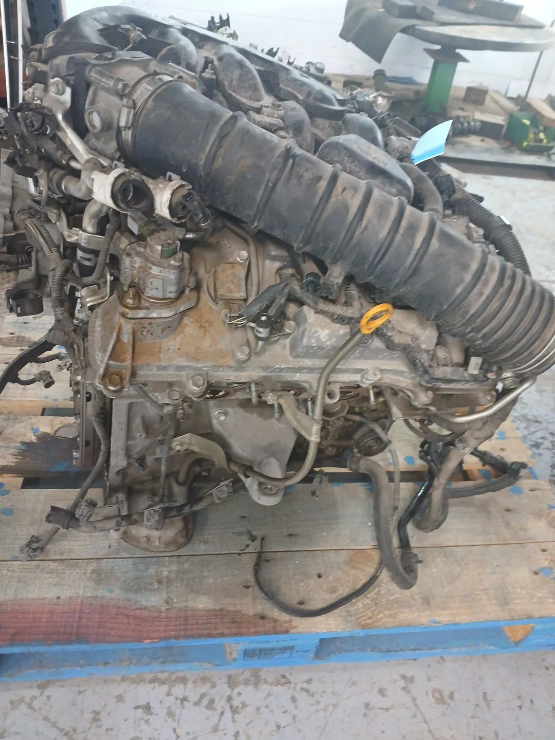 Despiece Motor para Lexus Gs (Gs/Us/Ws19)