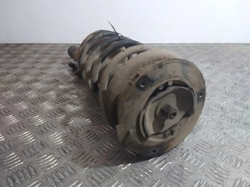 Amortiguador Delantero Izquierdo para Peugeot 607 (S1)