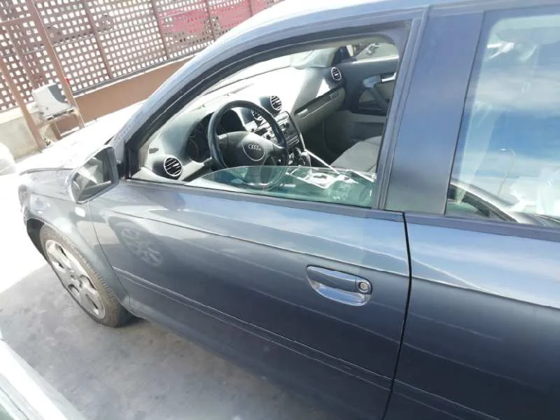 Puerta Delantera Izquierda para Audi A3 (8P)