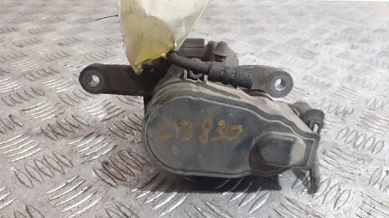 Pinza Freno Trasera Izquierda para Citroën C4 Picasso