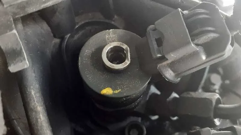 Despiece Motor para Citroën Berlingo