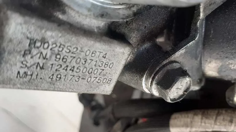 Despiece Motor para Citroën Berlingo