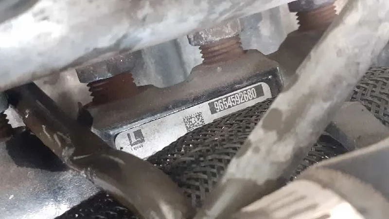 Despiece Motor para Citroën Berlingo