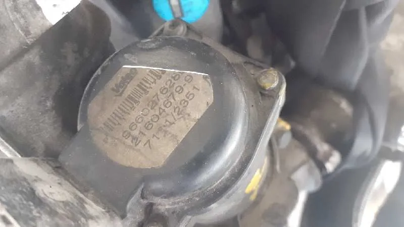 Despiece Motor para Citroën Berlingo