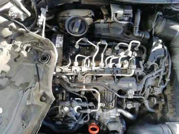 Motor Completo para Volkswagen Passat Berlina (3C2)