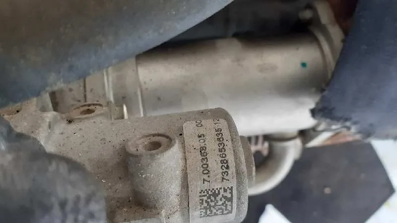 Despiece Motor para Renault Megane Ii Berlina 5P
