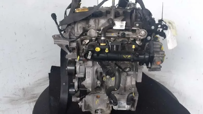 Despiece Motor para Renault Clio Iv
