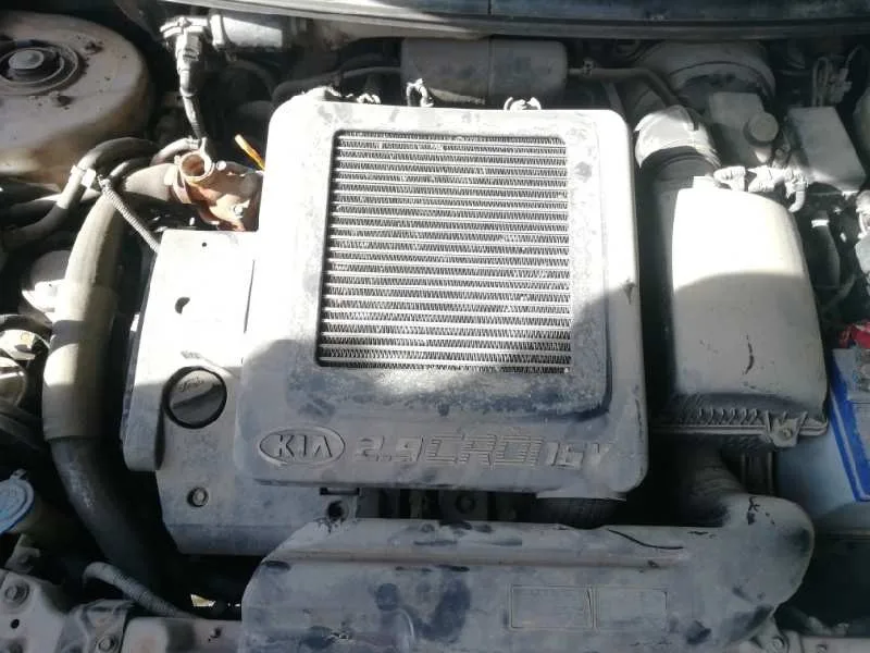 Despiece Motor para Kia Carnival Ii