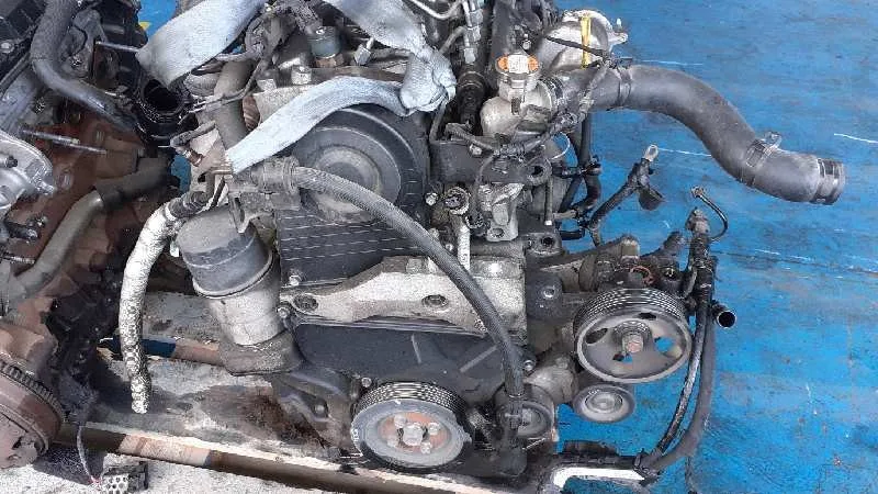 Despiece Motor para Kia Carens (Un)
