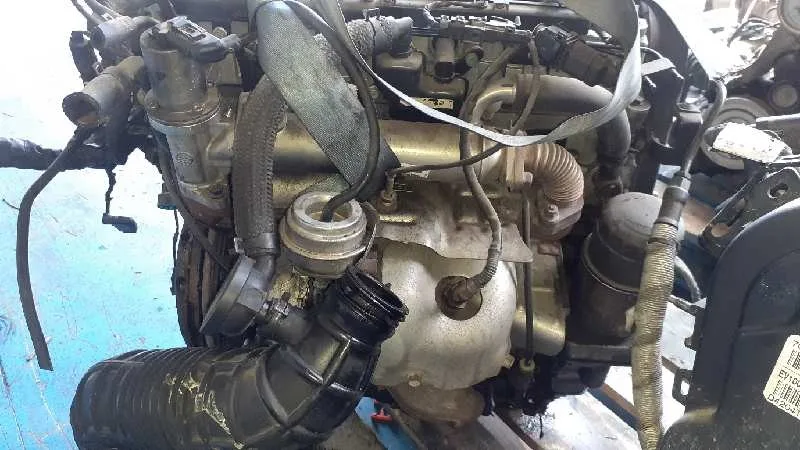 Despiece Motor para Kia Carens (Un)