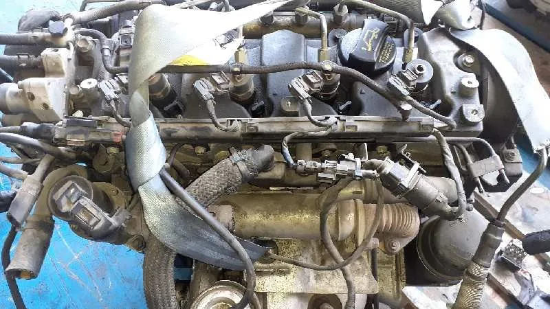 Despiece Motor para Kia Carens (Un)