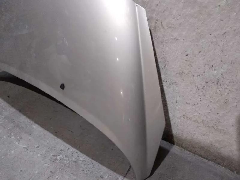 Capot para Peugeot 207