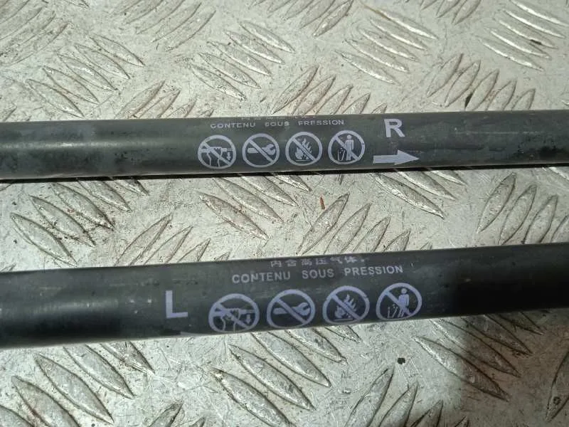 Amortiguadores Maletero / Porton para Toyota Corolla Touring Sports (E21)
