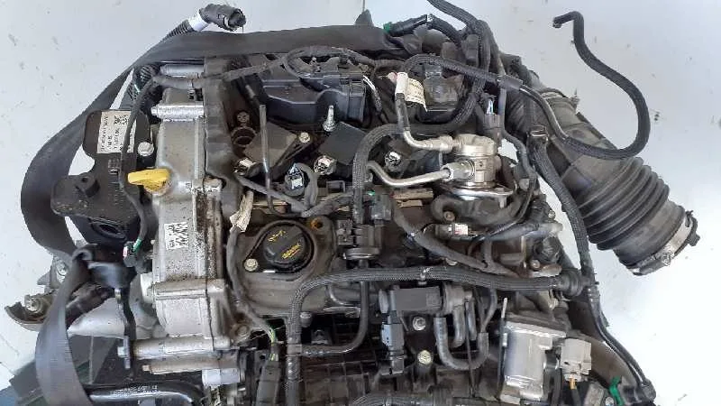Despiece Motor para Ford Focus