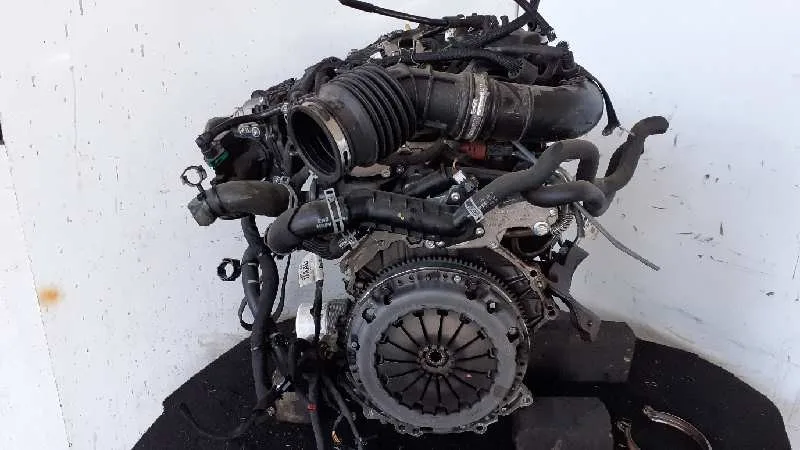 Despiece Motor para Ford Focus