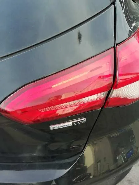 Piloto Trasero Derecho Interior para Ford Focus
