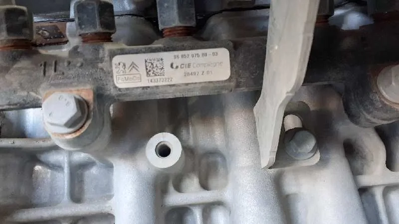 Rampa Inyectora para Ford Focus Lim. (Cb8)
