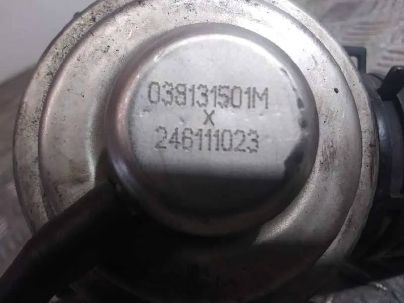 Valvula Egr para Skoda Fabia Familiar (6Y5)