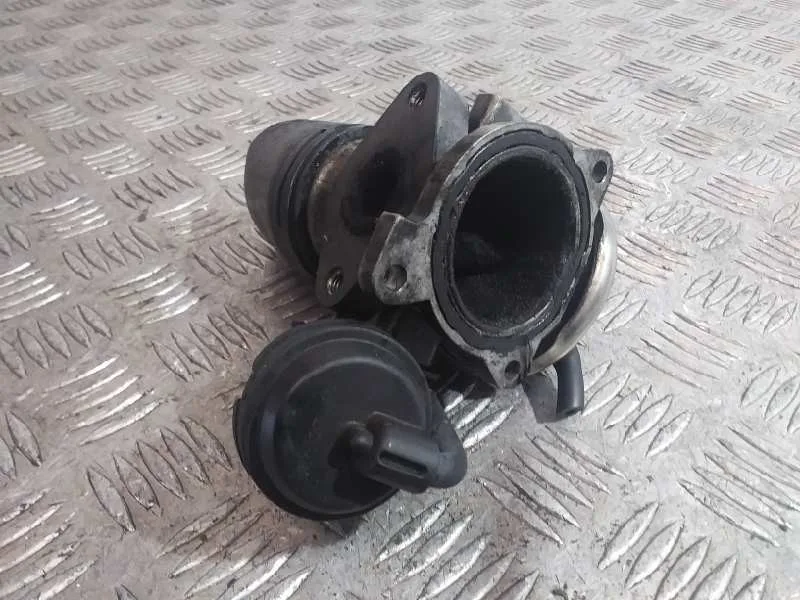 Valvula Egr para Skoda Fabia Familiar (6Y5)