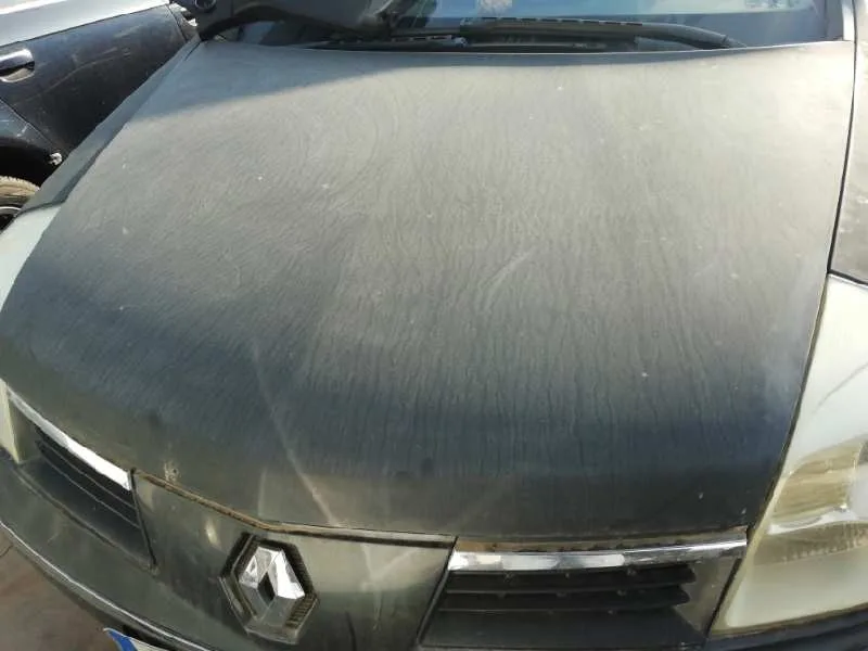 Capot para Renault Vel Satis (Bj0)