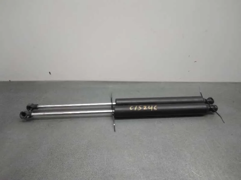 Amortiguadores Maletero / Porton para Renault Vel Satis (Bj0)