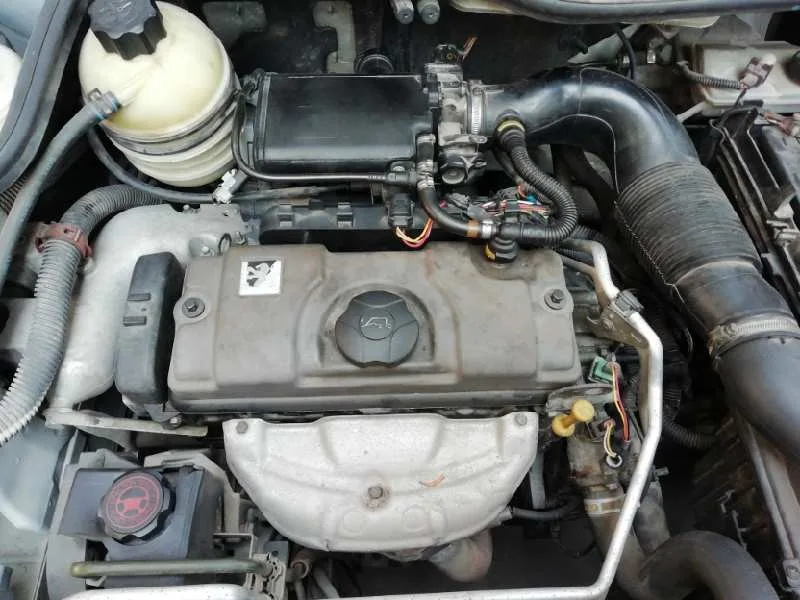Motor Completo para Peugeot 206 Berlina