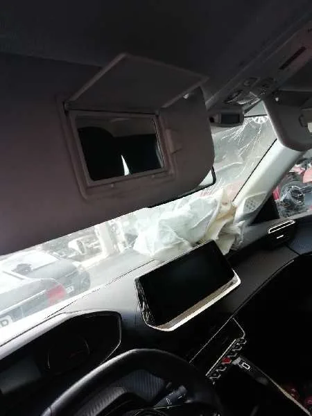 Parasol Izquierdo para Peugeot 208 (P2)