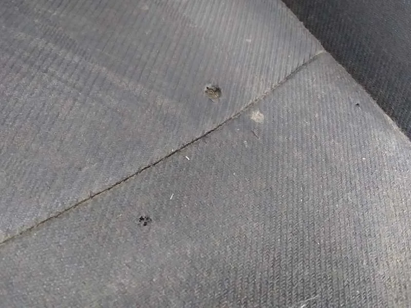 Asiento Delantero Izquierdo para Citroën C-Elysee