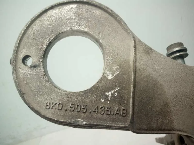 Mangueta Trasera Izquierda para Audi A5 Sportback (8T)
