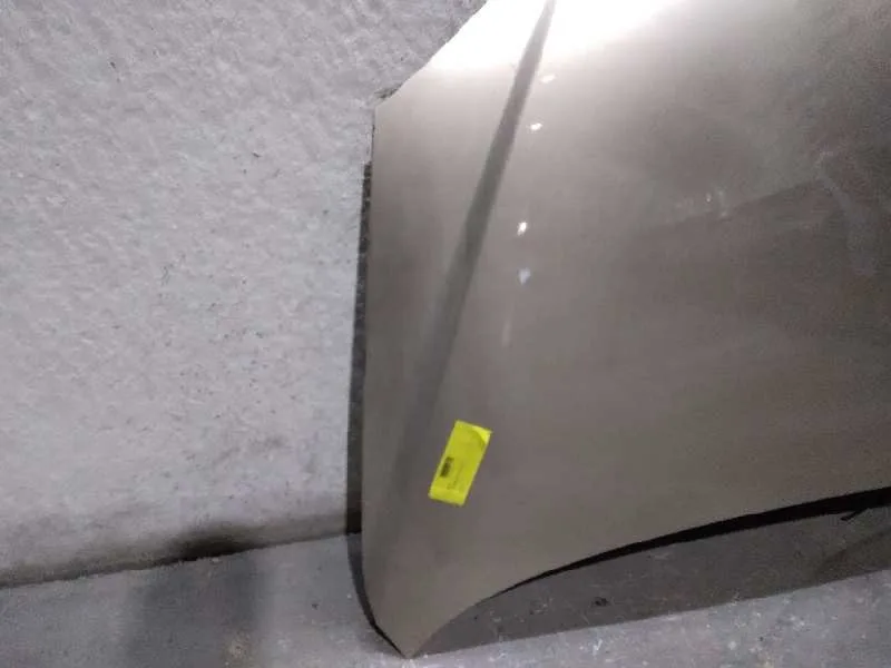 Capot para Kia Carens