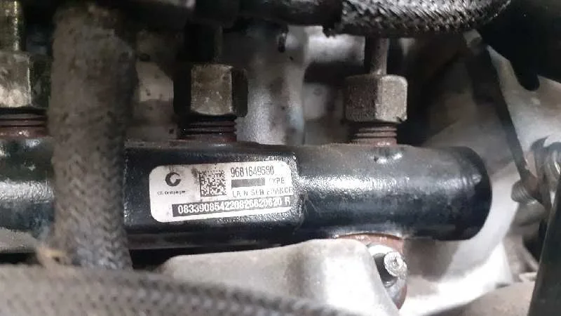 Rampa Inyectora para Peugeot Expert Kasten