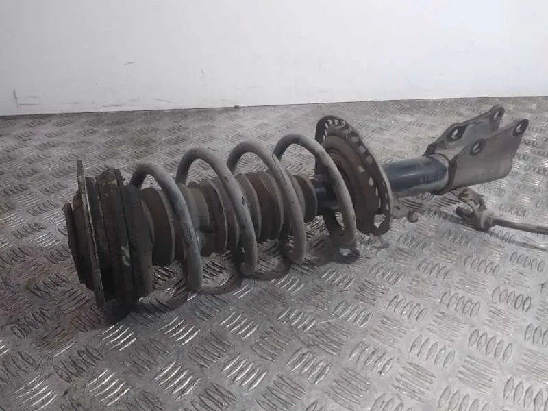Amortiguador Delantero Izquierdo para Renault Kangoo Express (Fw0/1_)