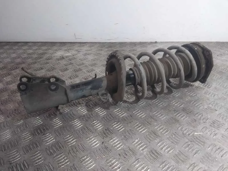 Amortiguador Delantero Izquierdo para Renault Kangoo Express (Fw0/1_)