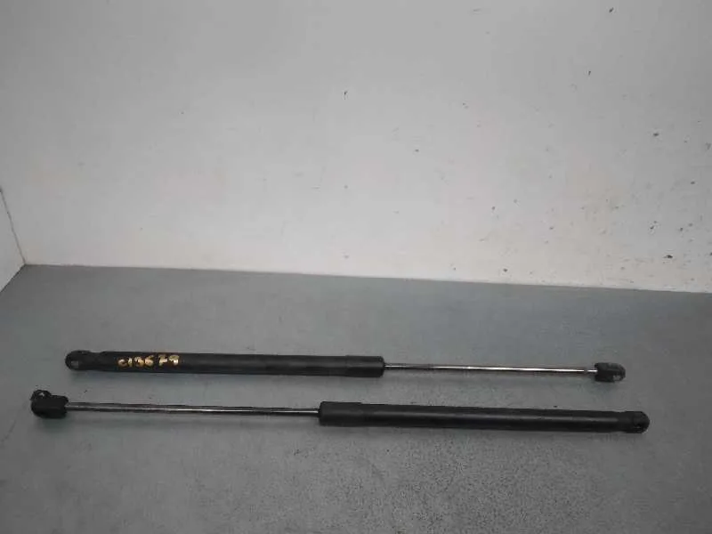 Amortiguadores Maletero / Porton para Ford Fiesta (Ccn)