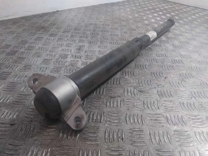 Amortiguador Trasero Izquierdo para Ford Focus