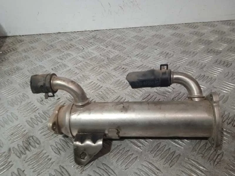 Enfriador Egr para Hyundai Santa Fe (Bm)