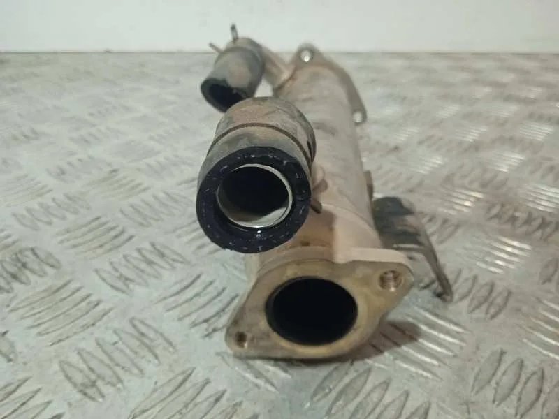 Enfriador Egr para Hyundai Santa Fe (Bm)