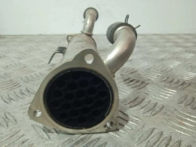 Enfriador Egr para Hyundai Santa Fe (Bm)