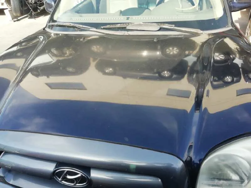 Capot para Hyundai Santa Fe (Sm)