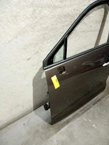Puerta Delantera Izquierda para Renault Scenic Iii