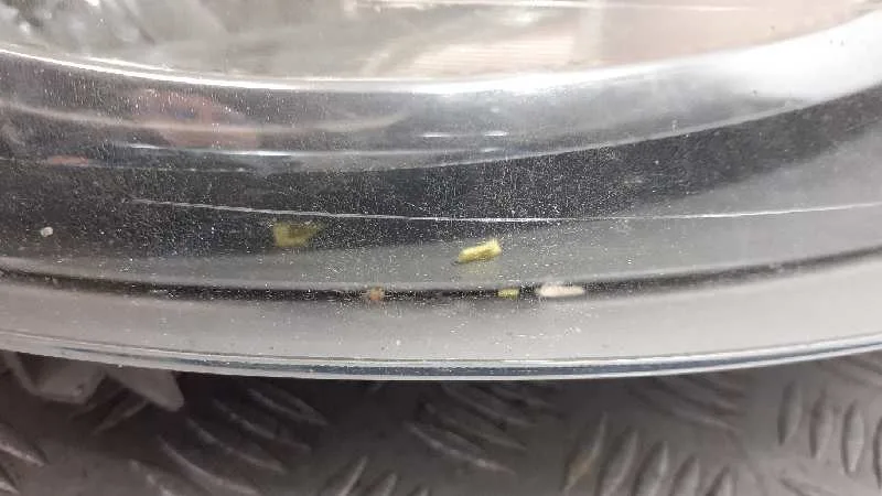 Faro Derecho para Nissan Primastar (X83)