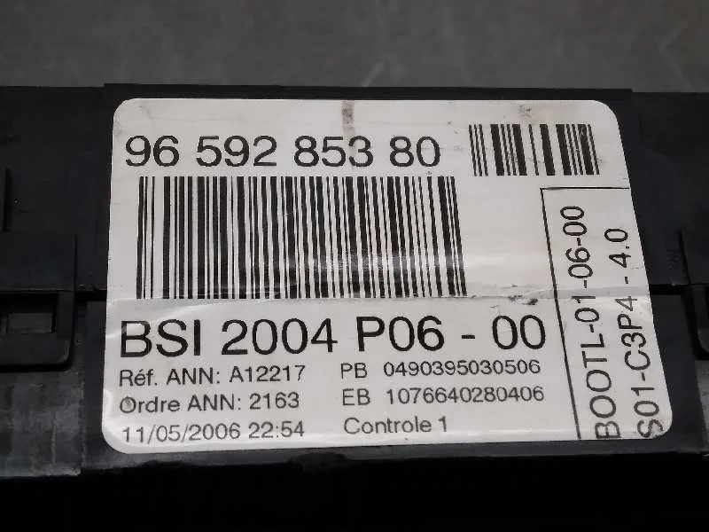 Centralita Bsm para Peugeot 207