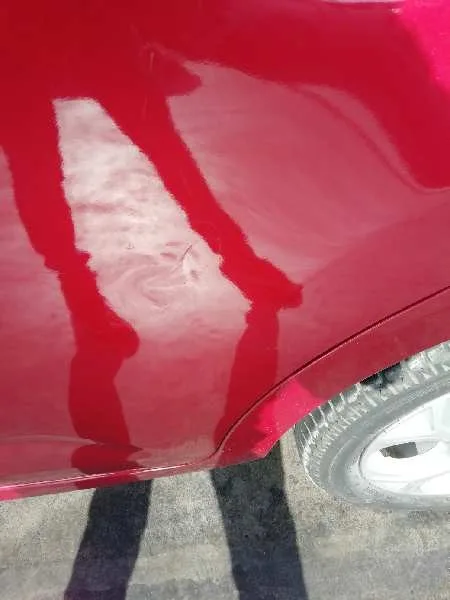 Puerta Trasera Izquierda para Citroën C3