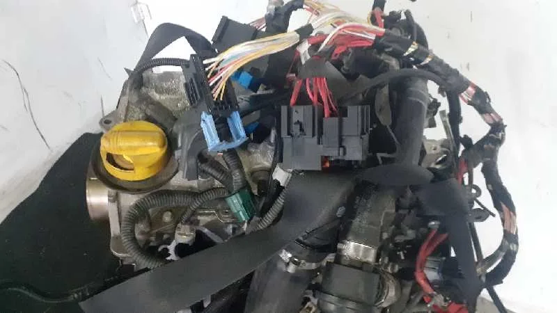 Despiece Motor para Dacia Sandero